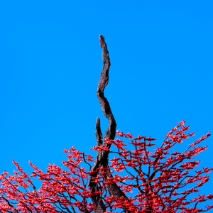 亚洲美女屁股眼交19
