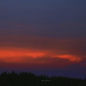 亚洲美女屁股眼交19
