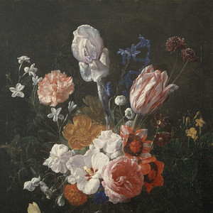 亚洲美女屁股眼交19
